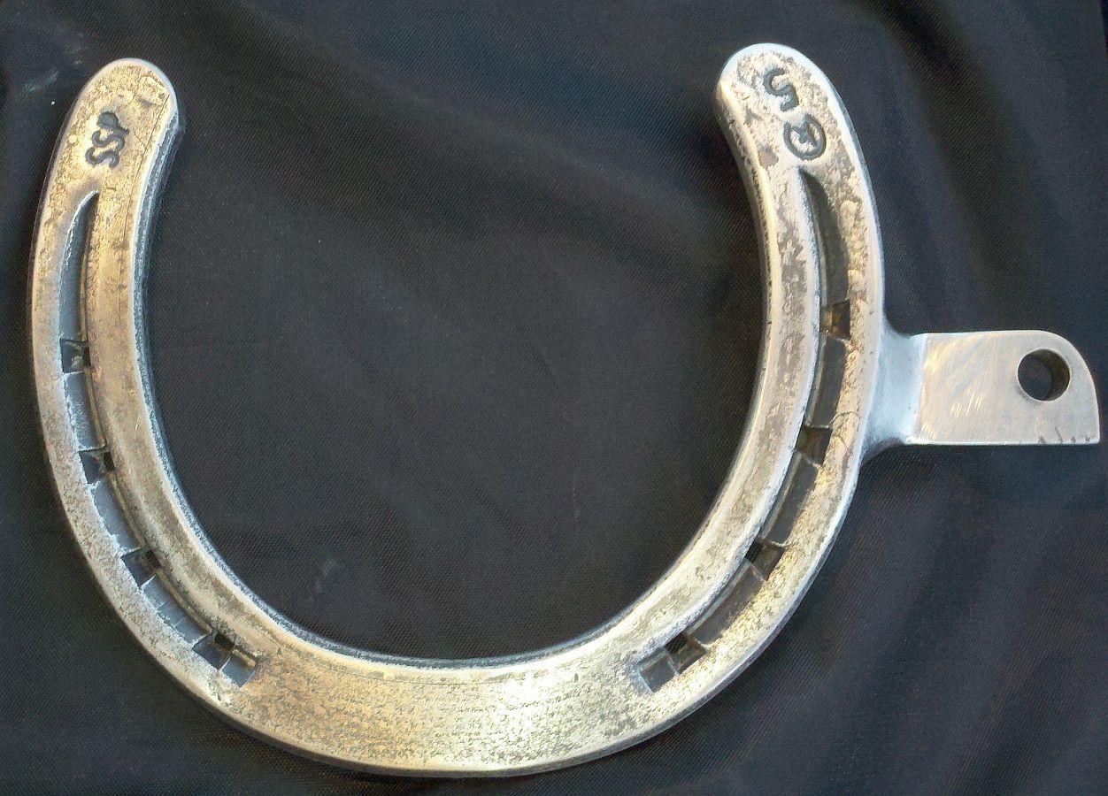 Oneoff Horse Shoe Highway Peg For TG Rider